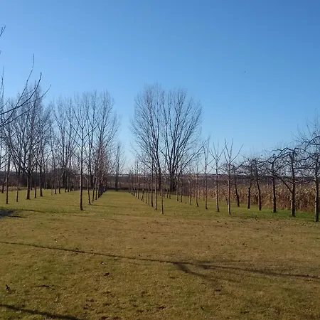 Vizcsepp Vendeghaz Bed & Breakfast *