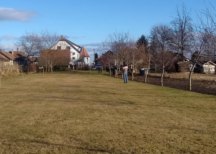 Vizcsepp Vendeghaz Patyod