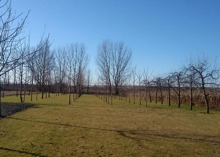 Vizcsepp Vendeghaz Bed & Breakfast *